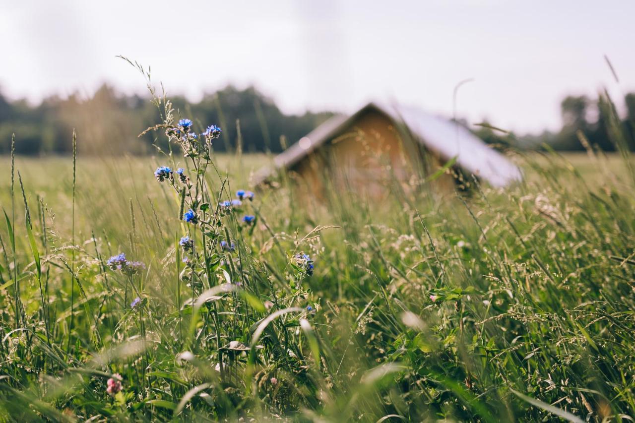 Muuski Glempings Korneti ภายนอก รูปภาพ