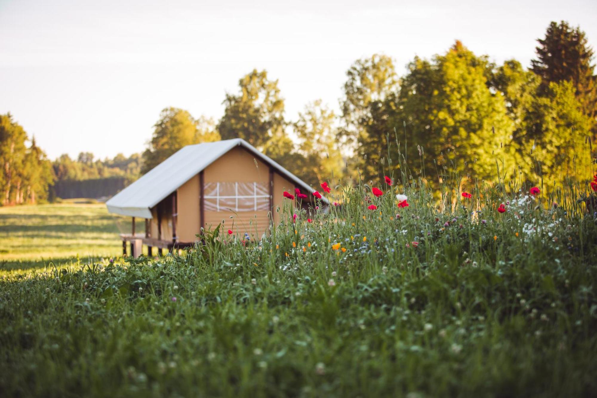 Muuski Glempings Korneti ภายนอก รูปภาพ